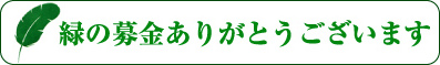 緑の募金ありがとうございます