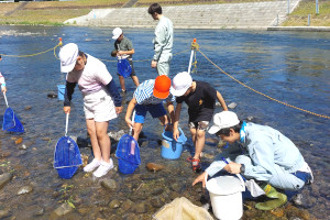 身近な川の生物調査